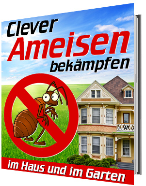 Clever Ameisen bekämpfen eBook