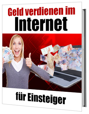 Geld verdienen im Internet für Einsteiger eBook