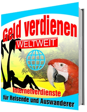 Geld verdienen weltweit eBook