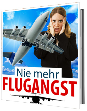 Nie mehr Flugangst eBook