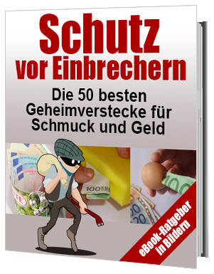 Schutz vor Einbrechern eBook