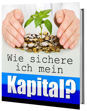 Wie sichere ich mein Kapital? eBook